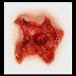 Exit Wound - FX Makeup