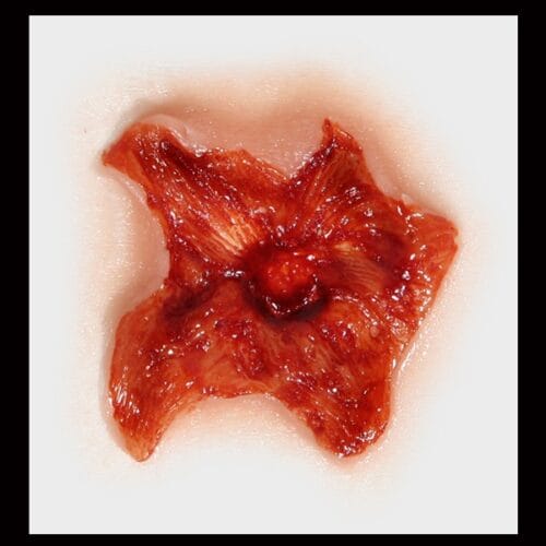 Exit Wound - FX Makeup