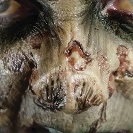 Zombie Nose 3D FX Transfer