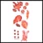 Burned Alive - Temporary Tattoo