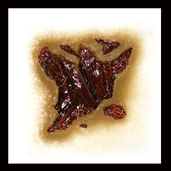 Zombie Gash - FX Makeup