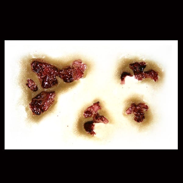 Zombie Rot - FX Makeup