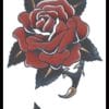 1940 Rose Tattoo