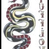 1940 Snake Tattoo