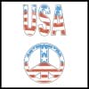 USA / Peace Temporary Tattoo