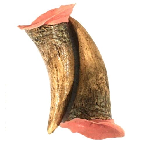 Tinsley Transfers Black Label Latex XL Devil Horns Out of Package