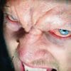 Evil Brow - 3D FX Transfers EvilBrow DFXTransfers