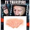 Evil Brow - 3D FX Transfers EvilBrow DFXTransfers